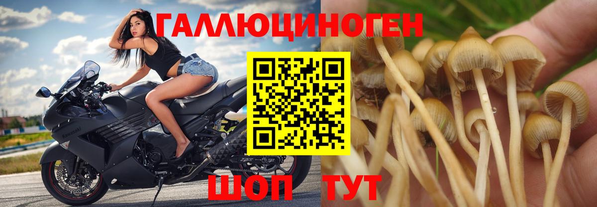 Галлюциногенные грибы прущие грибы  Псилоцибиновые грибы мухоморы  Вход с VPN  Майкоп 
